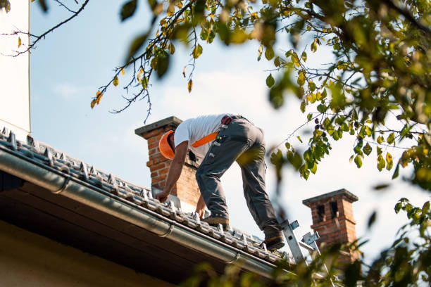 Best Emergency Roof Repair  in Laurel, MS