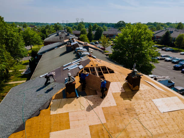Quick and Trustworthy Emergency Roof Repair Services in Laurel, MS