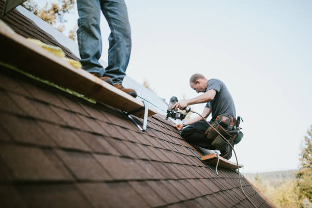 Gutter Installation and Roofing in Laurel, MS